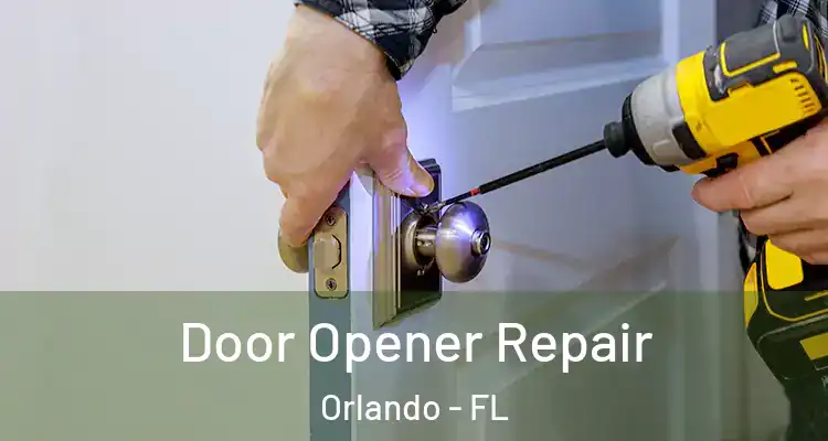  Door Opener Repair Orlando - FL